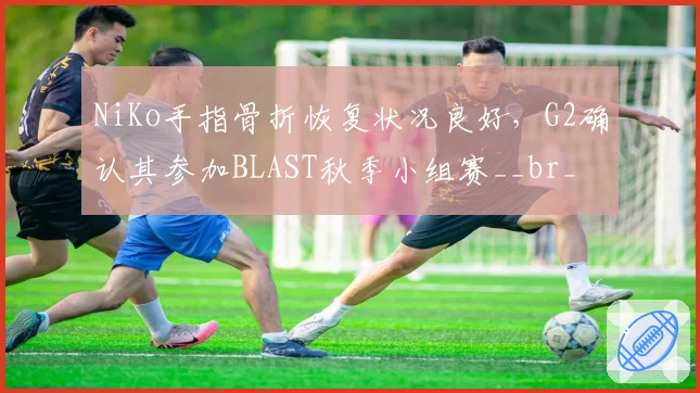 NiKo手指骨折恢复状况良好，G2确认其参加BLAST秋季小组赛__br_