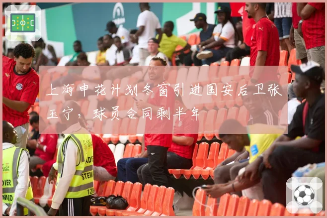 上海申花计划冬窗引进国安后卫张玉宁,球员合同剩半年